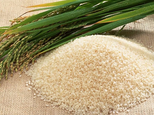 荆州大米厂家教你如何保存大米？