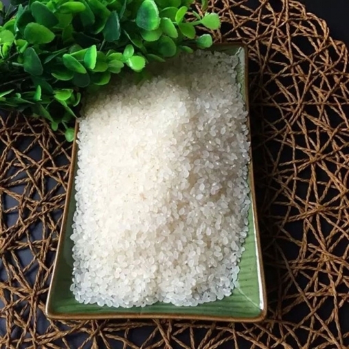种植长粒香米注意哪些关键点