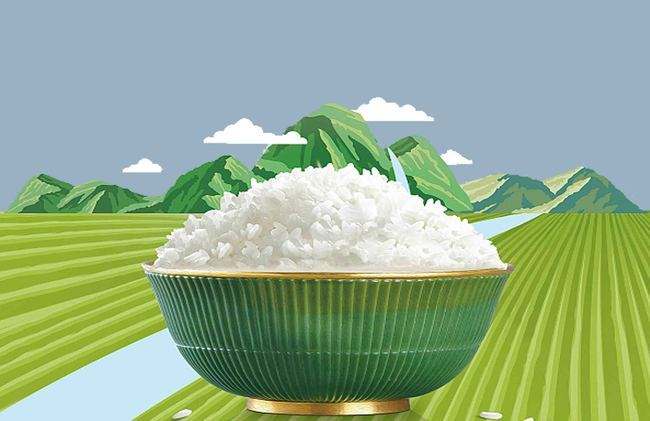 湖北大米批发